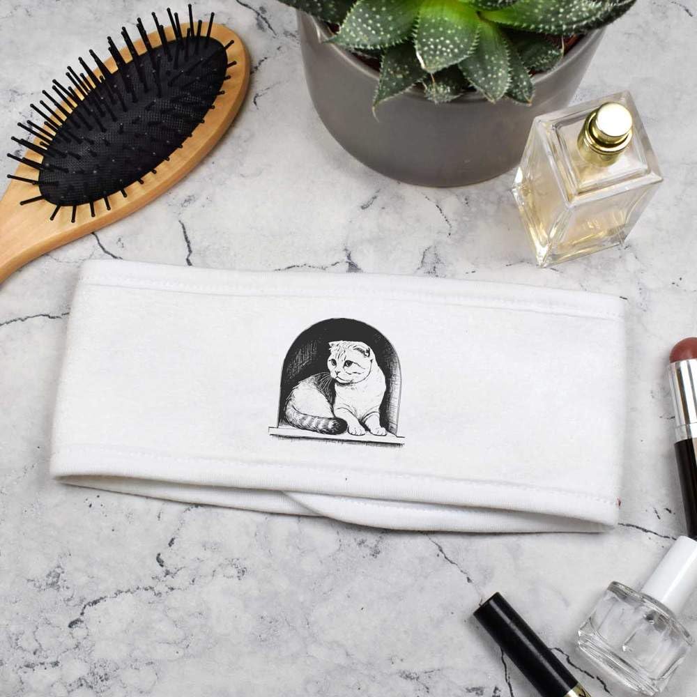 'Scottish Fold Cat In Alcove' Beauty Head Band/Hair Band (HB00031437)