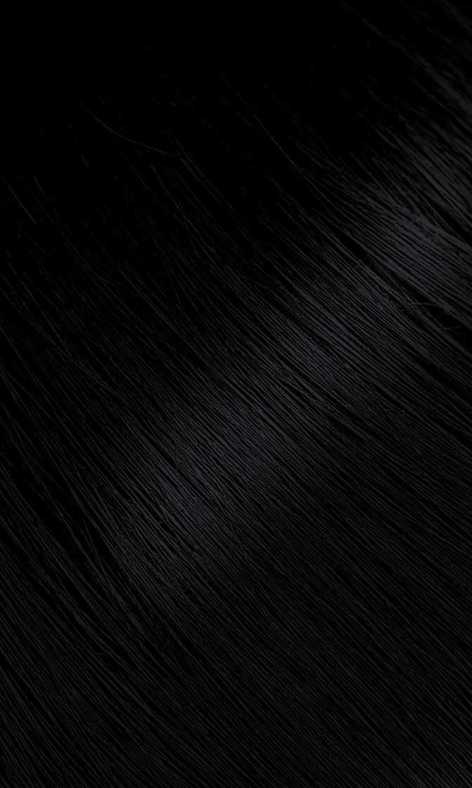 #88 Blue Black Bigen Permanent Powder (3 Pack)
